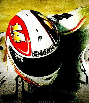 Shark