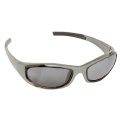 Lunettes et Masques Moto Baruffaldi Taeg Silver 183072