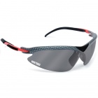 Lunettes de Soleil Bertoni Drive D335 D