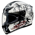 XR 1000 Rogue TC6