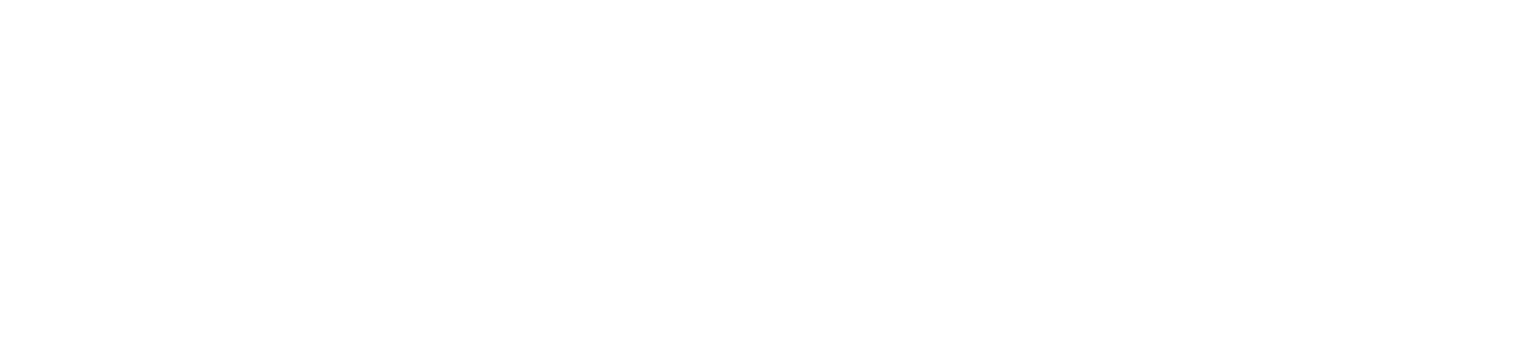 Shot