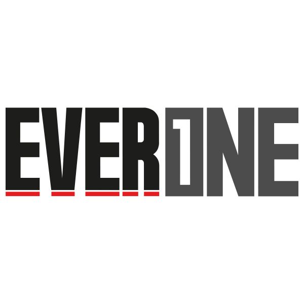 Pices dtaches casque Everone Plaques Pivot Urbanever