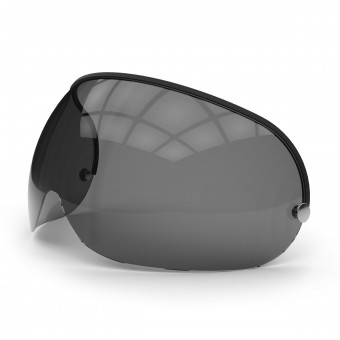 Goggle Master Ecran GM Court