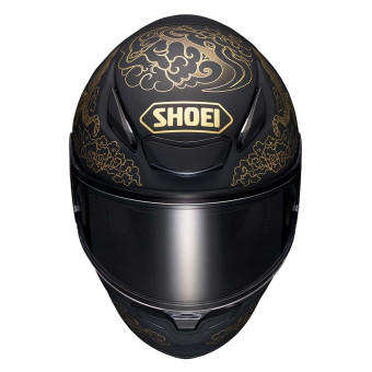 Shoei NXR2 Fearless TC5