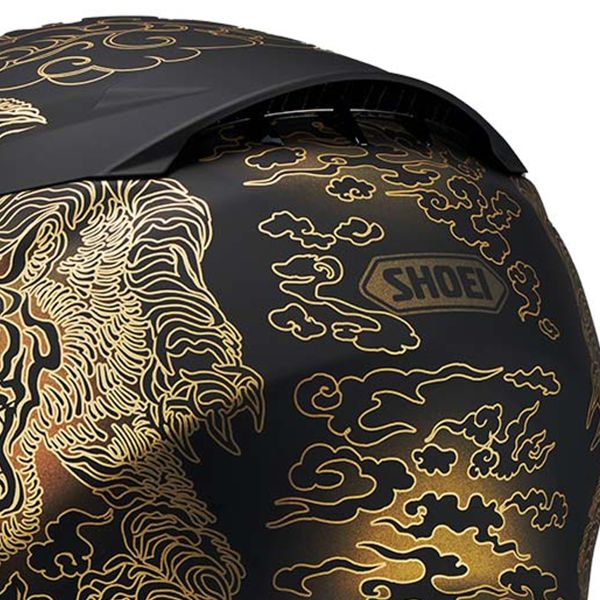 Shoei NXR2 Fearless TC5