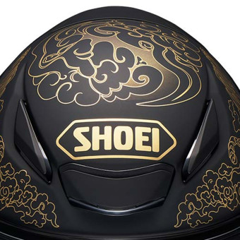 Shoei NXR2 Fearless TC5