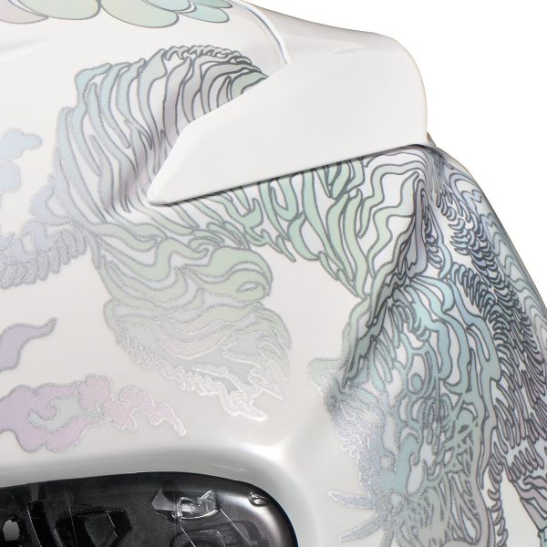 Shoei NXR2 Fearless TC6