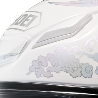 Shoei NXR2 Fearless TC6