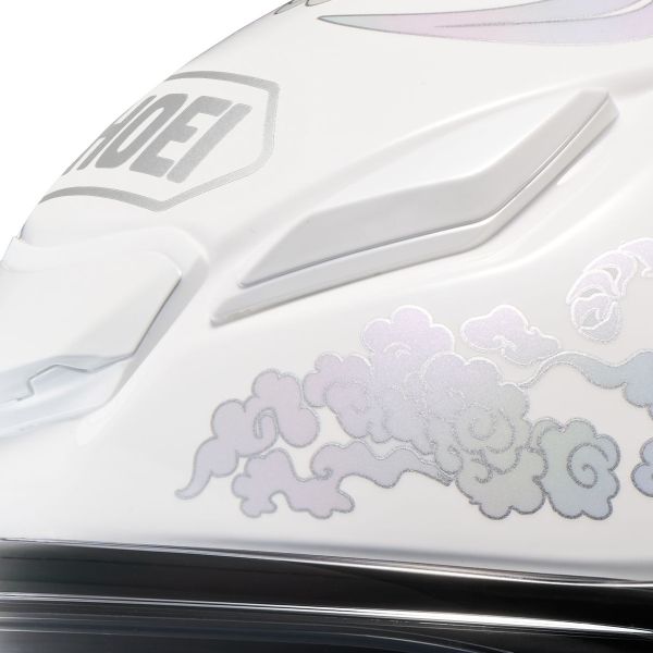 Shoei NXR2 Fearless TC6