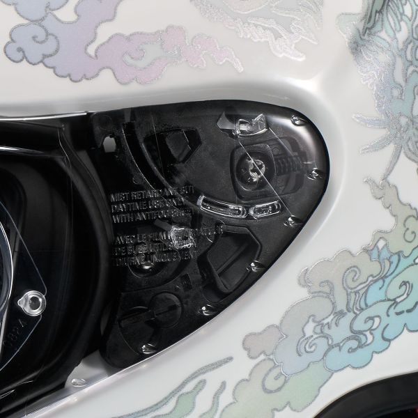 Shoei NXR2 Fearless TC6