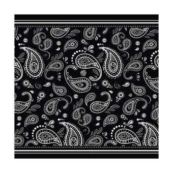 Foulard et tour de cou Dmd Bandana