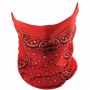Tours De Cou Moto Zanheadgear Red Paisley
