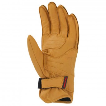 Motomod Baya Camel