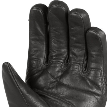 Segura Panther Noir