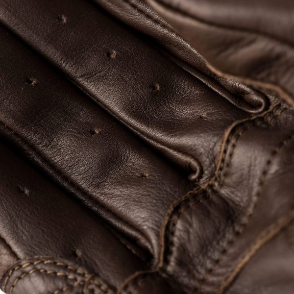 Blauer Banner Marron Blanc