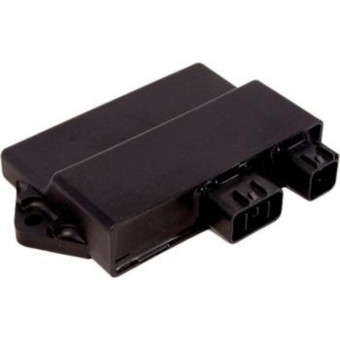 Boitier CDI Tecnium Botier CDI Tecnium Yamaha YFM350R Raptor (04-13)