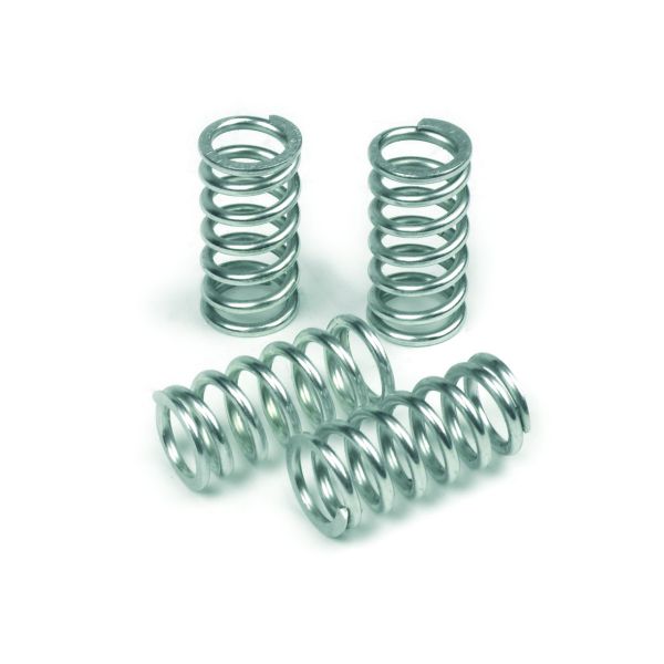 Ressorts d'embrayage TRW Ressorts d'embrayage TRW Aprilia RSV1000/Tuono/BMW F650GS/F650ST (93-09)