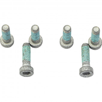 Visserie & accessoires TRW Vis disque de frein TRW BMW F650GS/G650GS (00-15) Visserie & accessoires TRW Vis disque de frein TRW BMW F650GS/G650GS (00-15)