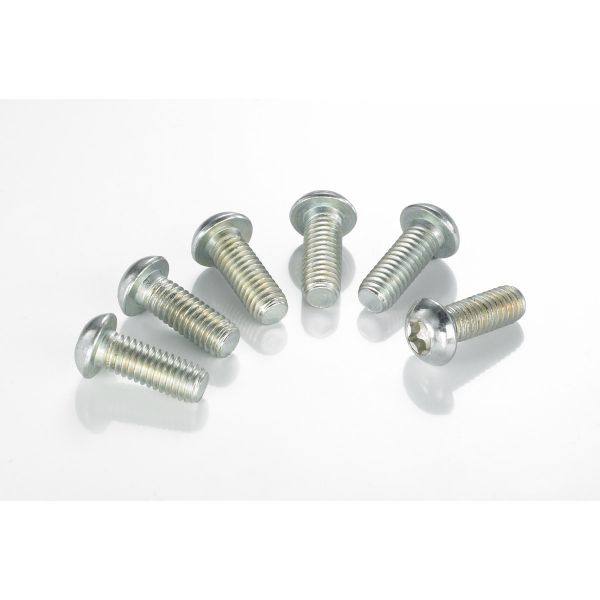 Visserie & accessoires TRW Vis disque de frein TRW Harley Davidson (99-22)