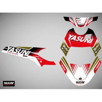 Kutvek Kit dco Yasuni Factory Rieju MRT 50 (09-20)