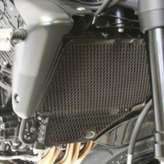 Protection de radiateur R&G Racing Grille de radiateur (eau/huile) Alu Triumph Speed Triple 1050 (06-10)