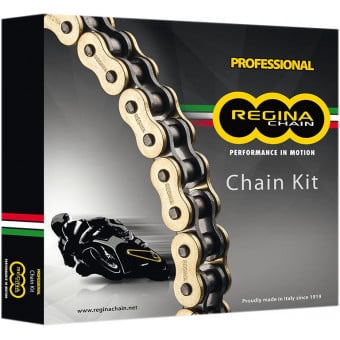 Kit chaine Regina Type ZRP Ducati Monster 796/1100 (09-14) Kit chaine Regina Type ZRP Ducati Monster 796/1100 (09-14)