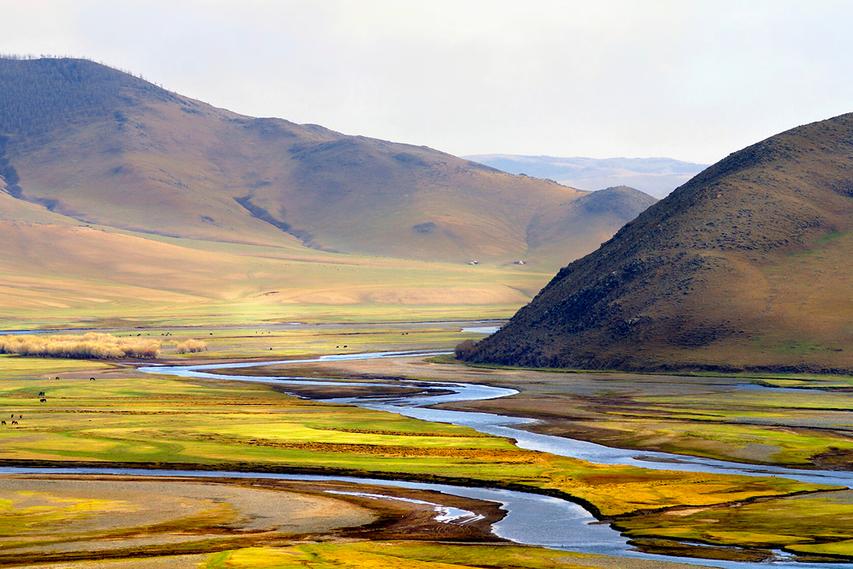 mongolie