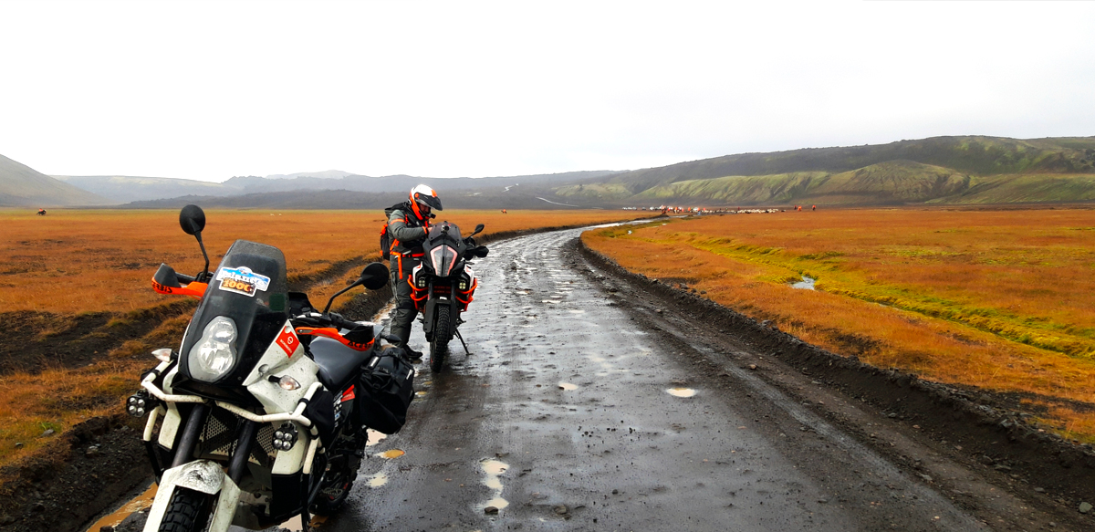reve d islande route vers Landmannahellir