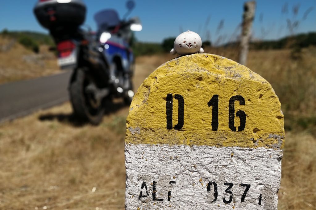 borne D16