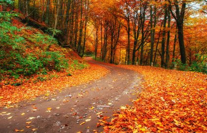 Les-4-pièges-de-l'automne-à-éviter-sur-la-route