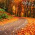 Les-4-pièges-de-l'automne-à-éviter-sur-la-route